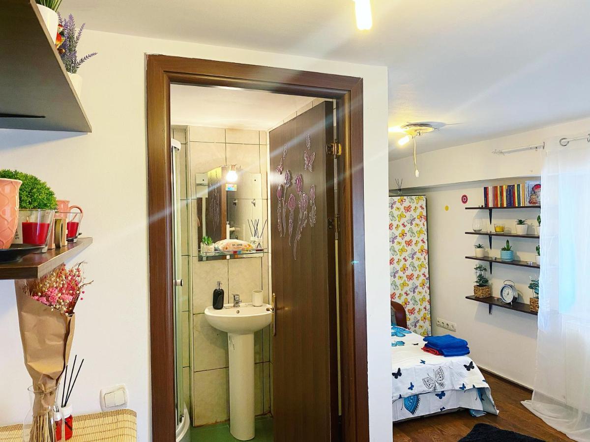 부쿠레슈티 Casa Andu 아파트 외부 사진