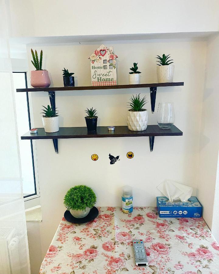부쿠레슈티 Casa Andu 아파트 외부 사진