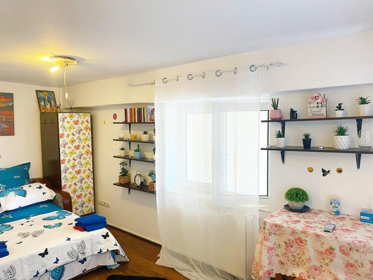 부쿠레슈티 Casa Andu 아파트 외부 사진
